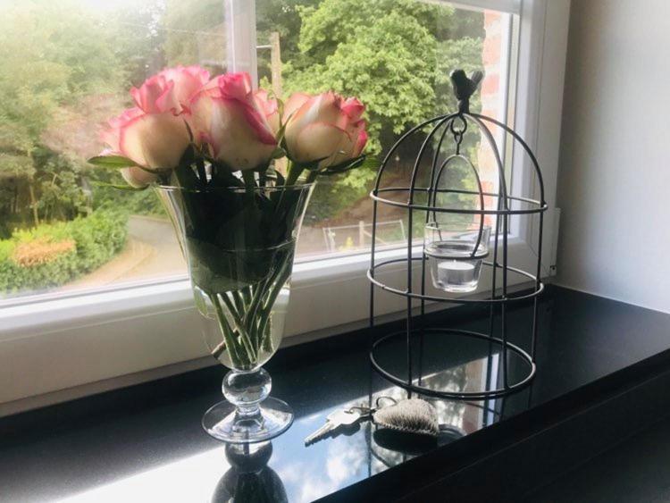 Vakantiewoning D'Hoppe Flobecq 外观 照片